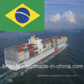 Shipping Forwarder From China to Itajai, Vitoria, Curitiba, Santos, Canoas